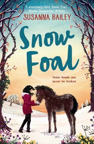 Susanna Bailey Snow Foal