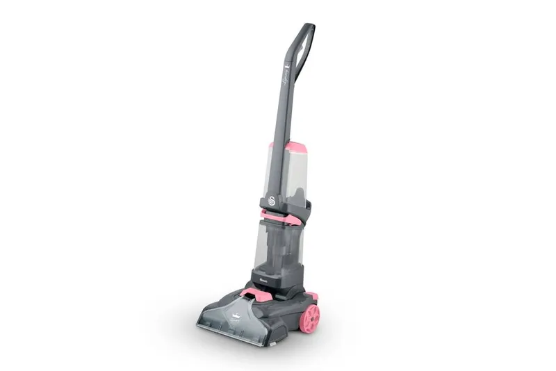 Swan Lynsey Queen of Clean Carpet in Pink Size: A - Pink