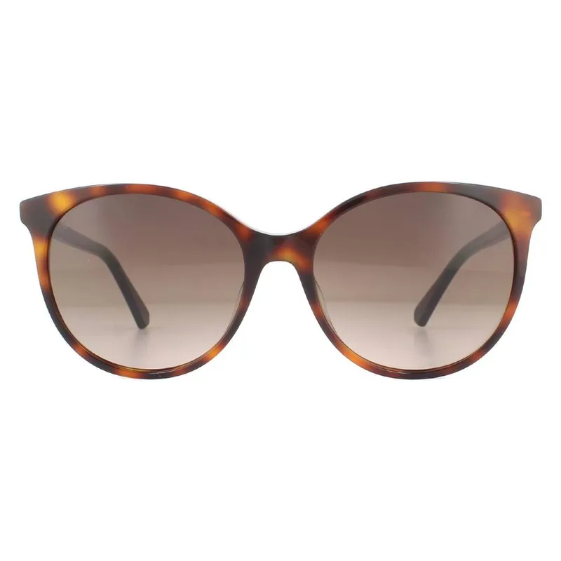 Swarovski Women's Round Dark Havana Brown Gradient Sunglasses - Brown