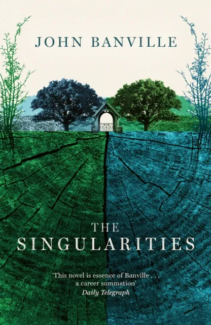Swift Press The Singularities