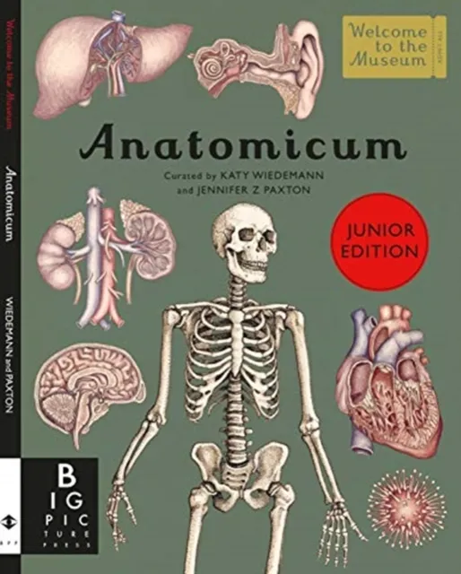 Jennifer Z Paxton Anatomicum Junior Hardback Book Multicolor
