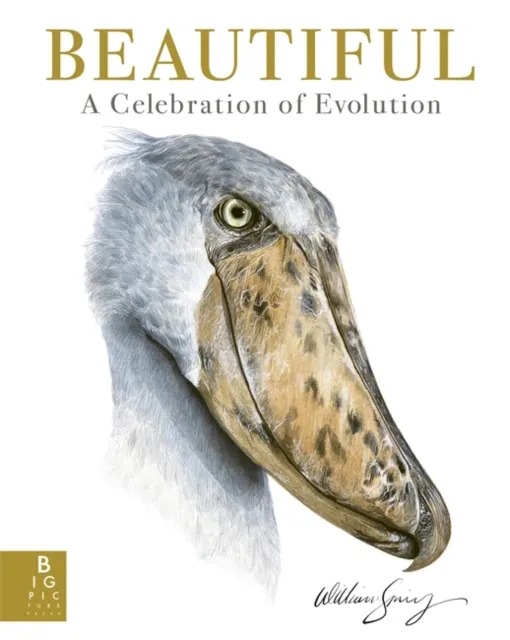 Templar Books Beautiful : A Celebration Of Evolution