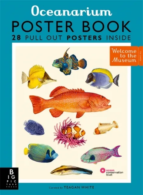 Templar Books Oceanarium Poster Book