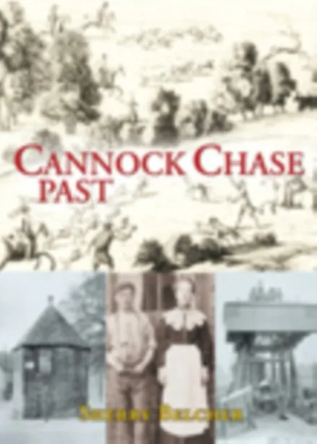 The History Press Ltd Cannock Chase Past
