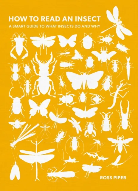 The History Press Ltd How To Read An Insect : A Guide To What Insects Do And Why