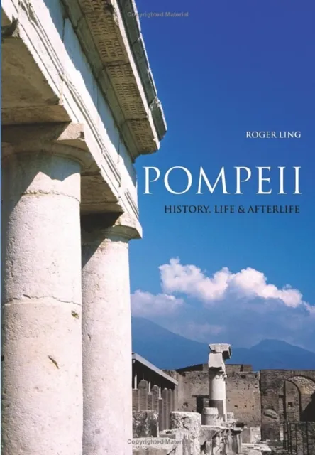 The History Press Ltd Pompeii : History, Life & Afterlife