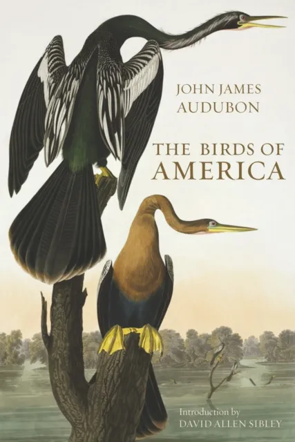 The Natural History Museum The Birds Of America