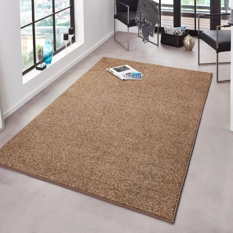 The Rugs Unisex Velours Pure Modern Plain Velour Rug Synthetic Short Pile in Beige Size: 80cm x 150cm Beige female