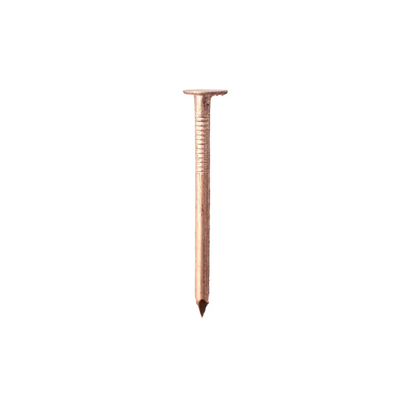 Timco - Clout Nails Copper - 50 x 3.35