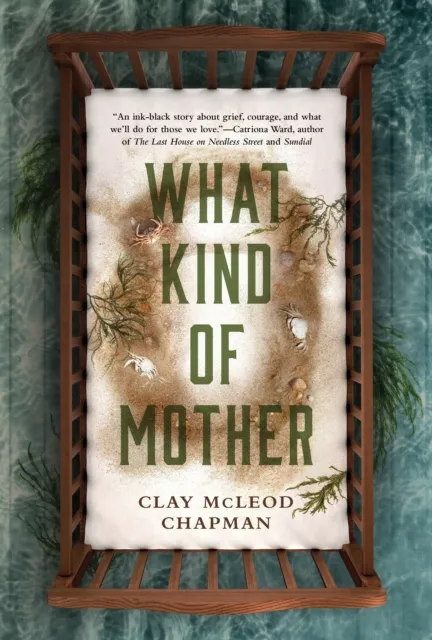 Clay McLeod Chapman What Kind of Mother Paperback Book Multicolor