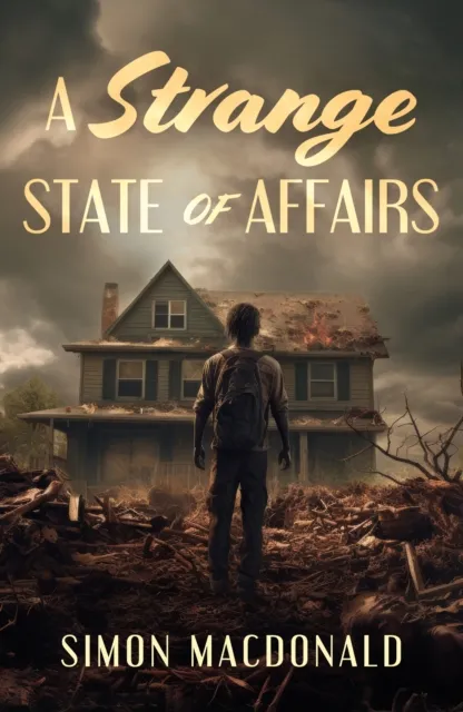 Simon MacDonald Strange State of Affairs Paperback Book Multicolor