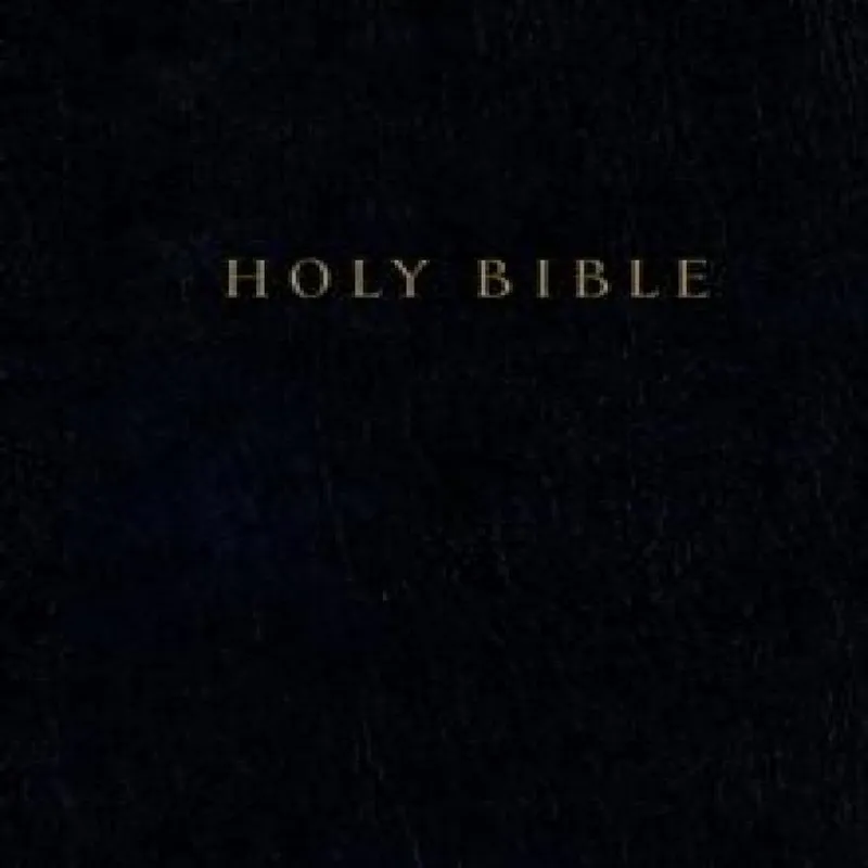 Tyndale Holy Bible-Nlt