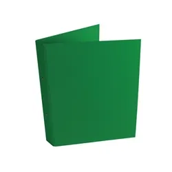 Unbranded Green A4 2-Ring Ring Binder (10 Pack)