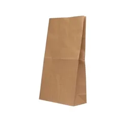 Unbranded Paper Bag 260x360x520mm Brown (125 Pack) 302172