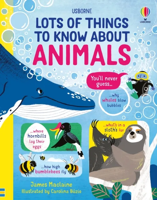 Usborne Publishing Ltd Lots Of Things To Know About Animals