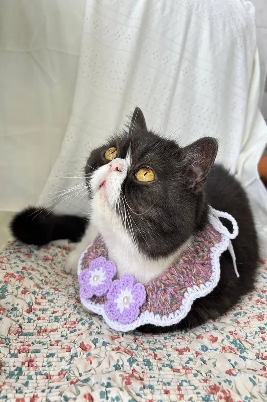 Vellin Crochet Pet Collar w/ Purple Flower Detail Purple female