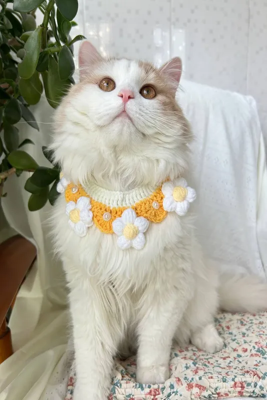 Vellin Crochet Pet Collar with Daisy Detail in Yellow - Yellow