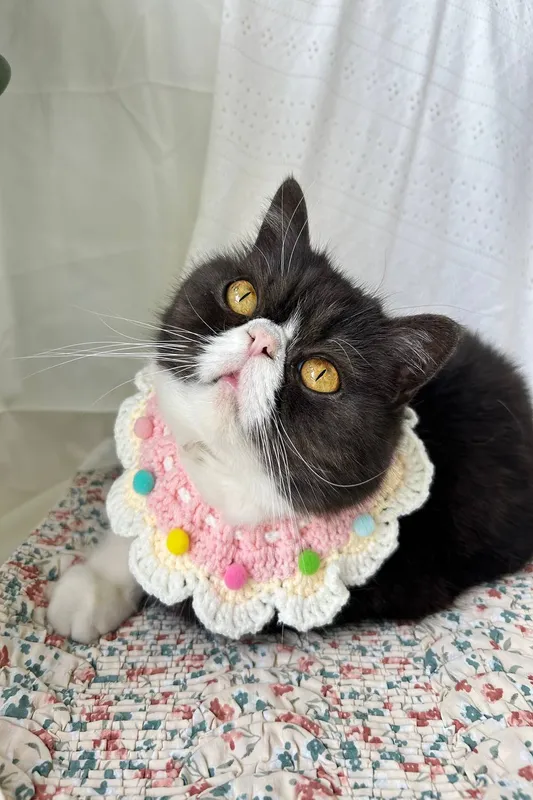 Vellin Pink cream crochet pet collar w/ pom poms, adjustable fit Multicolor female
