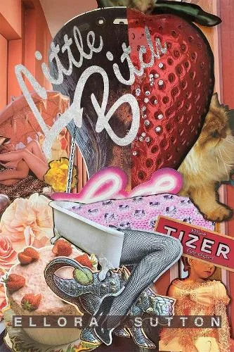 Verve Poetry Press Little Bitch