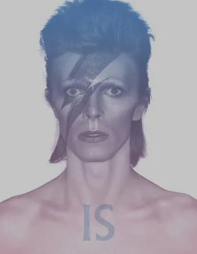 Victoria Broackes David Bowie Is