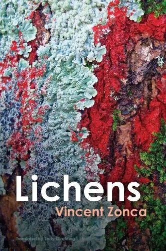 Vincent Zonca Lichens