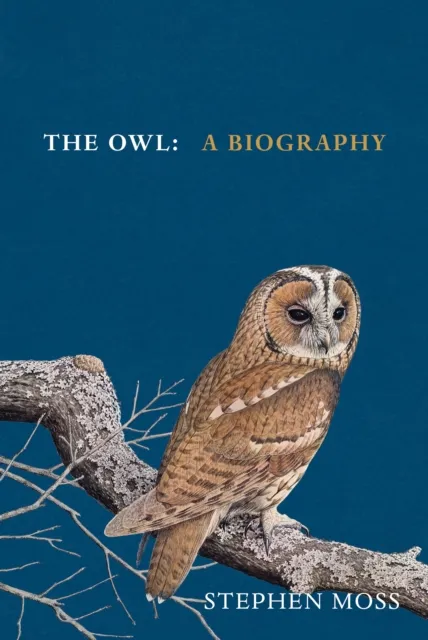 Stephen Moss The Owl