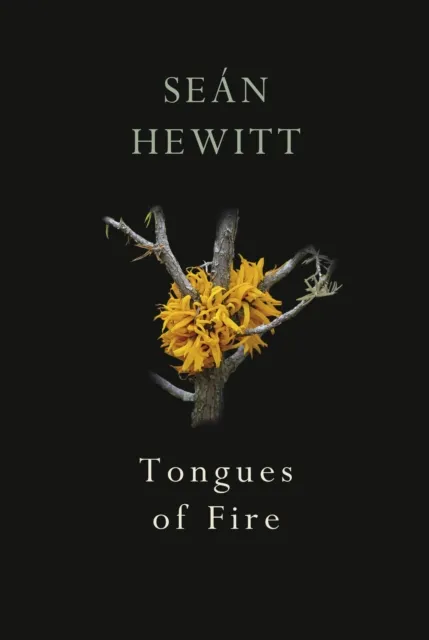 Vintage Publishing Tongues Of Fire