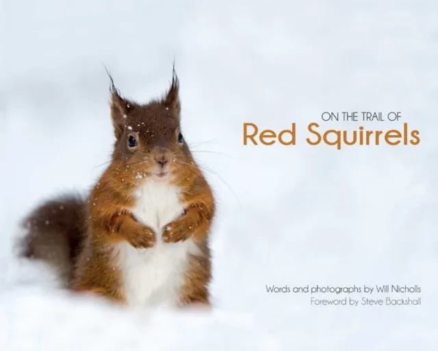 Wagtail Press On The Trail Of Red Squirrels