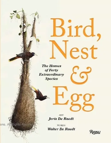 Walter De Raedt Bird, Nest & Egg