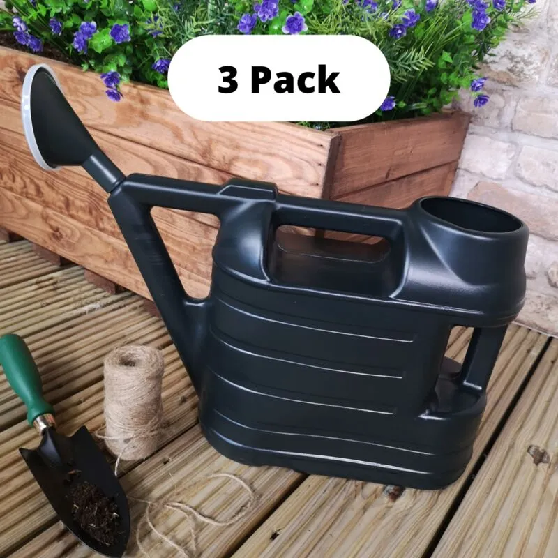 Ward - 3 of 6.5L Garden Watering Can With Rose - Green