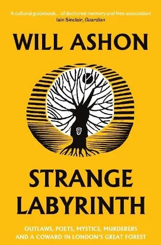 Will Ashon Strange Labyrinth