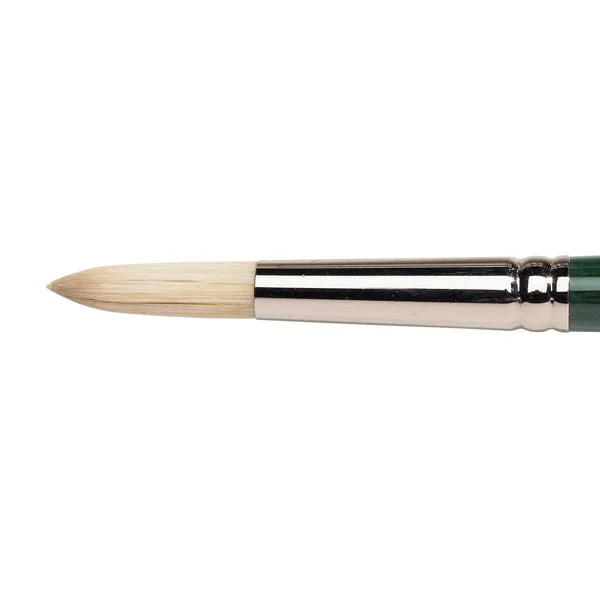 Winsor and Newton Winsor & Newton Galeria Hog Brush-Fan