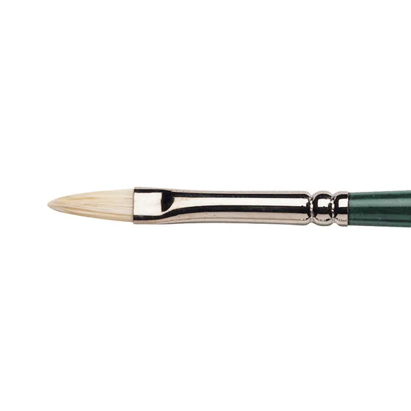 Winsor & Newton : Winton Brush : Filbert : No 1