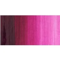 Winsor and Newton Winton Oil Colour 200ml