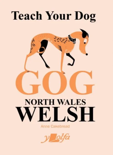 Y Lolfa Teach Your Dog Gog : North Wales Welsh
