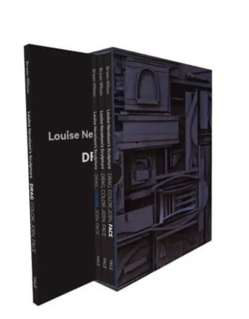 Yale University Press Louise Nevelson'S Sculpture : Drag, Color, Join, Face