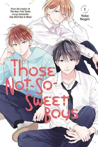Yoko Nogiri Those Not-So-Sweet Boys 1