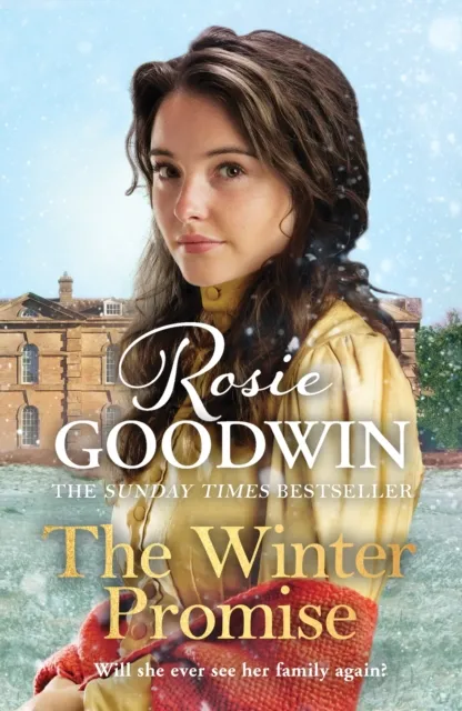 Zaffre The Winter Promise : A Perfect Cosy Victorian Saga From The Sunday Times selling Author