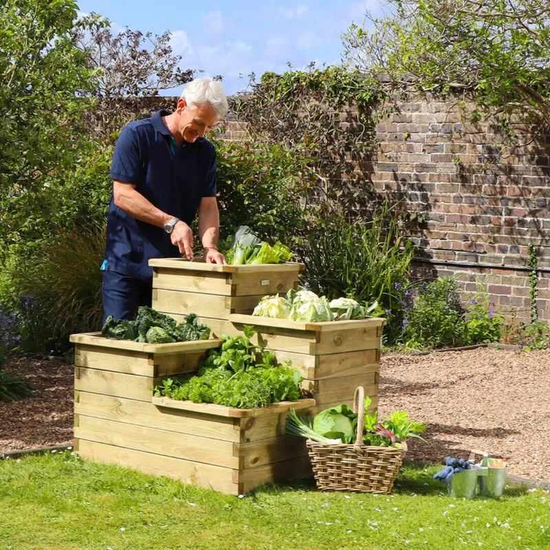 Zest - 4 Tier Raised Wooden Bed Garden Layered Planter