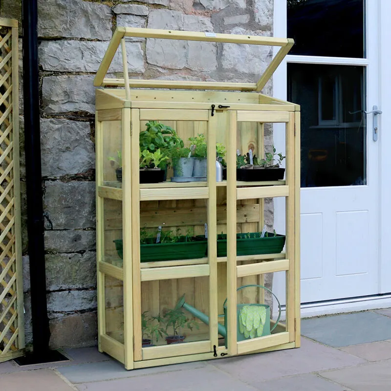 Zest - Compact Botanical Wooden Greenhouse Growhouse Cold Frame Planter