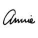 Annie Sloan logo
