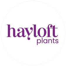 Hayloft logo