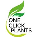One Click Plants logo