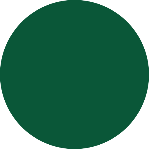 Outsiders Store logo