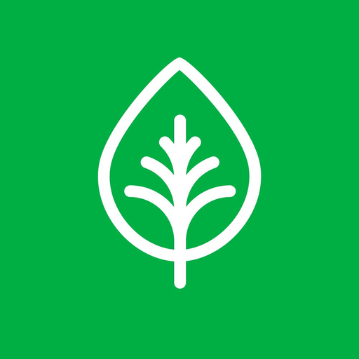 Superfood Market logo