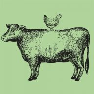 The Dorset Meat Company logo