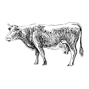 The Organic Butchery logo