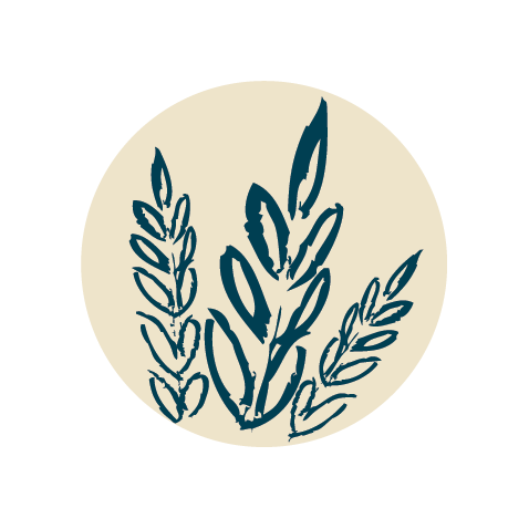 The Really Good Whisky Company logo