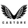 Castore logo