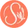 Serenata Flowers logo